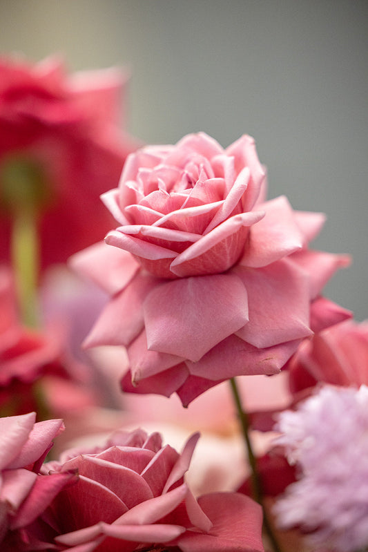 The Ultimate Guide to Planning a Modern Black Wedding in 2025